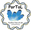 PorToL_Logo-3